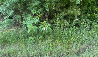 Cantania/Ridge Road, Bay St. Louis, MS 39520