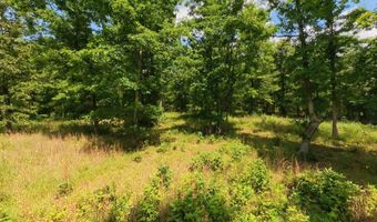 County Road 200, Alton, MO 65606