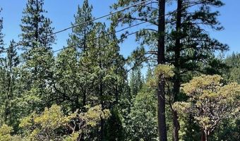 1943 Lightning Ln, Arnold, CA 95223