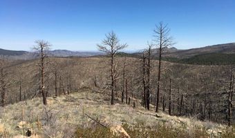 3600 Moondance Way, Bellvue, CO 80512