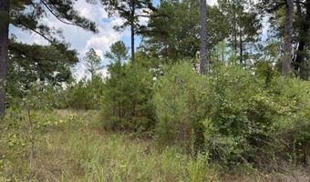0 Hwy 157, Benton, LA 71006