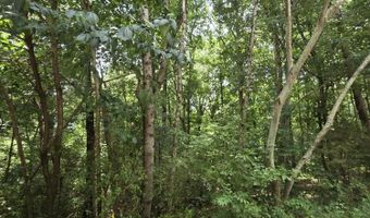Callen Cove, Athens, TN 37303
