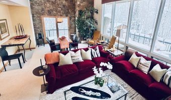 302 Roaring Fork Dr, Aspen, CO 81611