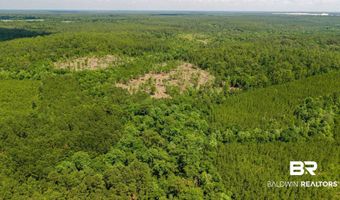Joe Hall Road, Bay Minette, AL 36507
