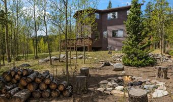 366 Quartzville Rd, Alma, CO 80420