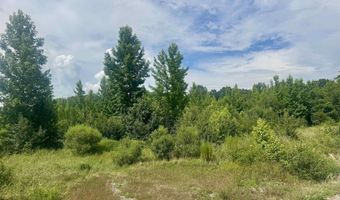 238 Lloyd Henderson Rd, Beebe, AR 72012