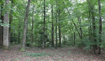 441 KIMBERLY Dr, Auburn, AL 36832