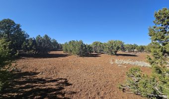 21 Co Rd 8032 # 8032, Concho, AZ 85924