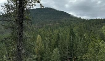 5784 River Rd, Clark Fork, ID 83811