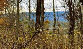 Lot 31 LarkSpur Trail, Banner Elk, NC 28604