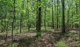 Hwy 160, Benton, LA 71006