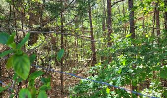 429 ARENDALL Rd, Adamsville, TN 38310