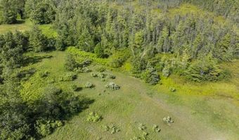 8688 Miller Rd, Alanson, MI 49706