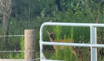 SE BROWN ROAD, Arcadia, FL 34266