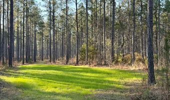 Highway 28, Abbeville, SC 29620
