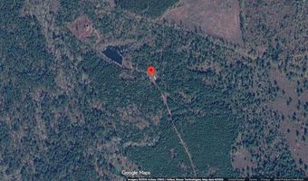 8788 Salter Rd, Bartow, GA 30413