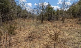 Smithtown Road, Afton, TN 37616