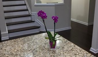 1510 Thassos Dr, Apex, NC 27502