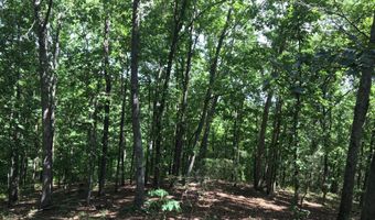 Damascus Road, Ball Ground, GA 30107