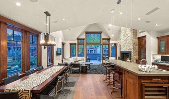 719 E Hopkins Ave 202, Aspen, CO 81611