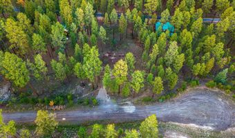 7 Eric Ln, Alpine, AZ 85920