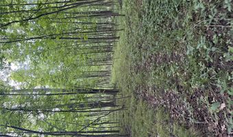 10775 W Ellsworth Rd, Ann Arbor, MI 48103