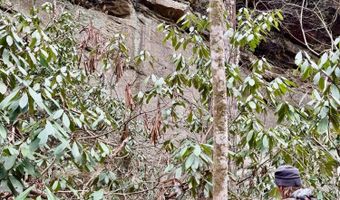 HWY 52 W, Beattyville, KY 41311