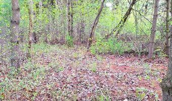 Parcel 2 Lakeshore, Applegate, MI 48401
