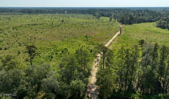 38774 S Mccarrol Rd, Amite, LA 70422