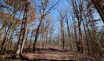 0 State Route 550, Amesville, OH 45711