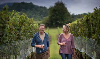 104 Hawthorn Ct Plan: Refresh II, Lake Frederick, VA 22630