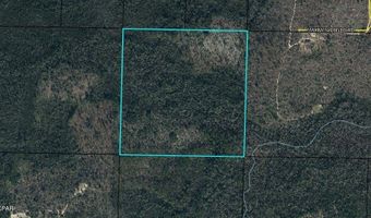 NW Camp Head Road, Altha, FL 32421