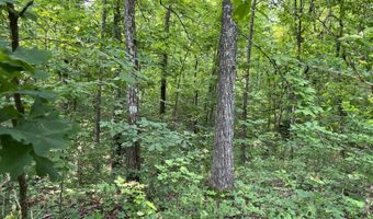 Lots 7 & 8 County Road 206, Alton, MO 65606
