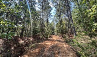 1555 Atbd CR 57 - Brooks Rd, Water Valley, MS 38965