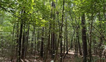 SW Auburn Drive, Bogue Chitto, MS 39629