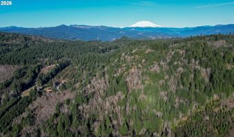 43911 NE COLUMBIA TIE Rd, Amboy, WA 98601