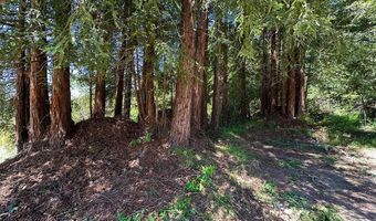 5601 Freedom Blvd, Aptos, CA 95003