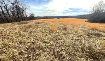 62 Acres N Business 71 Hwy, Anderson, MO 64831