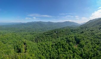 1621 Granny Squirrel Dr, Andrews, NC 28901