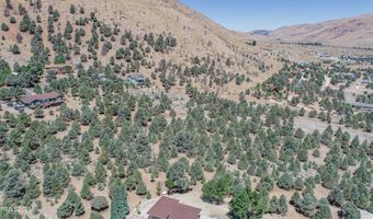 1520 Alba Vis 48, Gardnerville, NV 89410