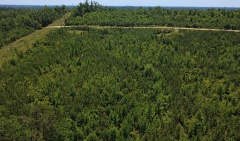 Tucker Road lot 9, Bath Springs, TN 38311