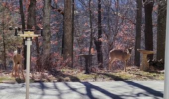 502 Oak Ridge Trails Ct, Ballwin, MO 63021
