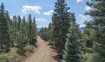 9 Buckskin Rd, Angel Fire, NM 87710