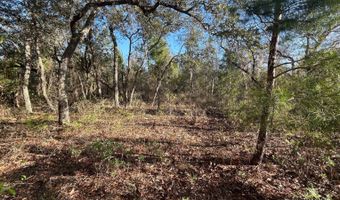NW Lake McKenzie Rd, Altha, FL 32421