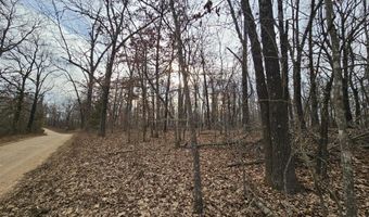 65 Acres Plainview Rd, Anderson, MO 64831