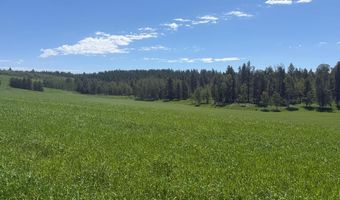 4935 E 900 N, Ashton, ID 83420