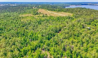 93 Acres Dell Rd, Bainbridge, GA 39819