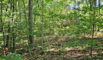 99999 Campground Rd, Asheville, NC 28805
