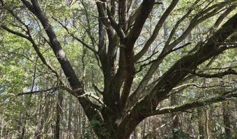 2862 Wallace Dr, Bogue Chitto, MS 39629