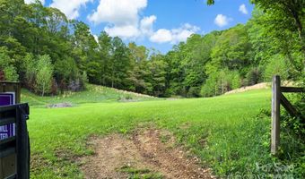 423 Cad Campbell Rd, Bakersville, NC 28705